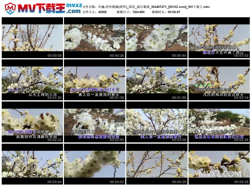 许巍-世外桃源(消伴)_国语_流行歌曲_MA407271